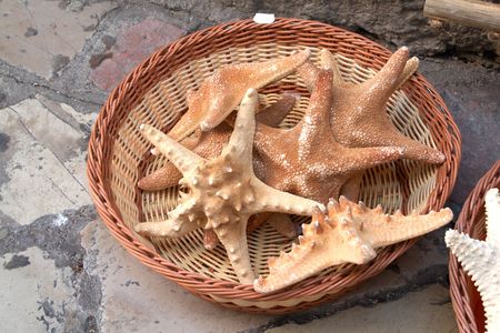 Sea shells in a basketの写真素材