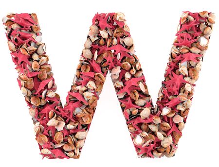 W letter from seashells and starfish  Isolated on white background  3d renderの写真素材