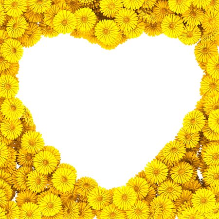 Heart of beautiful gerberas flowersの写真素材