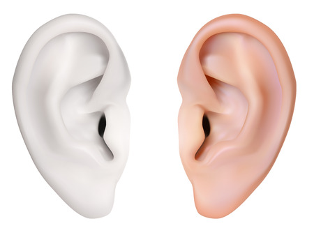 Photo-realistic vector. Human Ear. Isolated on whiteのイラスト素材