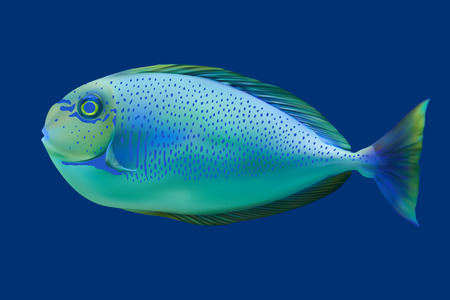 Blue tropical fish. Vector illustrationのイラスト素材