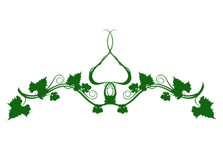Wine grape leaf backgroundのイラスト素材