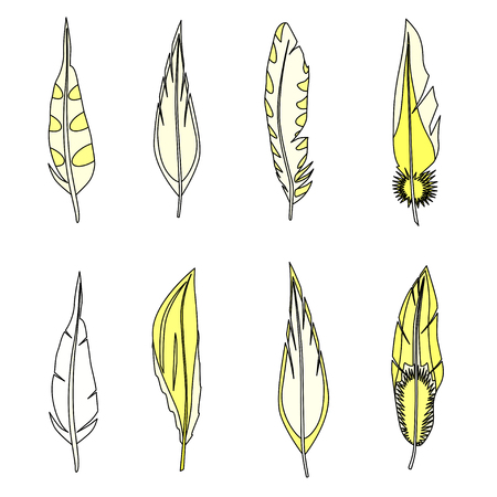 Set of feathers. Isolated on white. Vector illustration.のイラスト素材