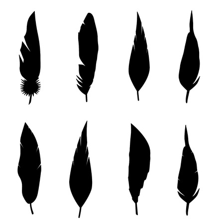 Feather set. Vector illustration isolated over white backgroundのイラスト素材