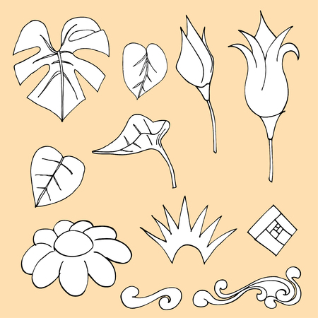 line drawing doodle flowers, vector hand drawn illustrationのイラスト素材