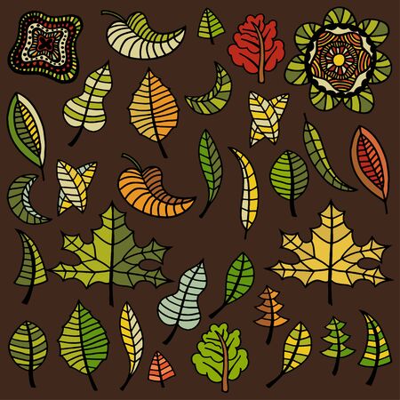 Big set of autumn leaves of different tree species. Hand drawn Sketch. Vector illustration.のイラスト素材