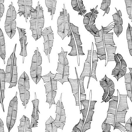 Vintage seamless pattern with hand-drawn feathers. Illustrationのイラスト素材