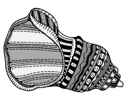 Zentangle stylized shell. Hand Drawn aquatic doodle vector illustration. Sketch for tattoo or makhenda. Seashell collection. Ocean life.のイラスト素材
