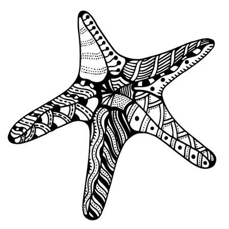 Starfish illustration, isolated on whiteのイラスト素材