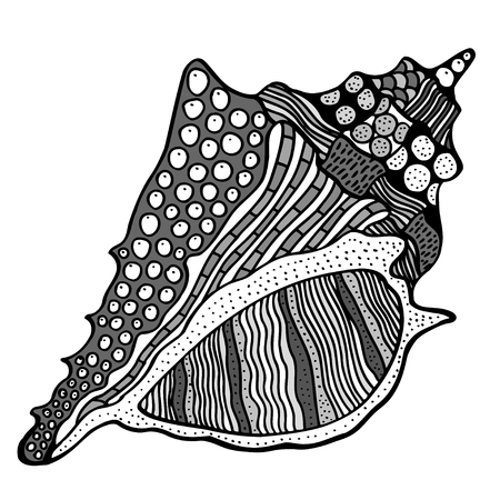 Zentangle stylized shell. Hand Drawn aquatic doodle vector illustration. Sketch for tattoo or makhenda. Seashell collection. Ocean life.のイラスト素材