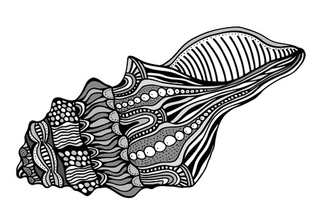 Zentangle stylized shell. Hand Drawn aquatic doodle vector illustration. Sketch for tattoo or makhenda. Seashell collection. Ocean life.のイラスト素材