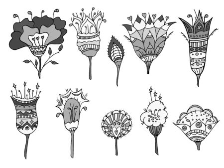 set of sketchy monochrome doodle flowers. Vector illustrationのイラスト素材