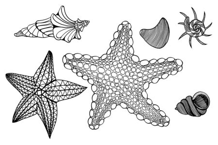 Set of Monochrome Shells and star. Hand drawn vector illustrationのイラスト素材
