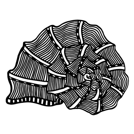 Black sea cockleshell. Hand Drawn aquatic doodle vector illustration. Sketch for tattoo or makhenda. Seashell collection. Ocean life.のイラスト素材