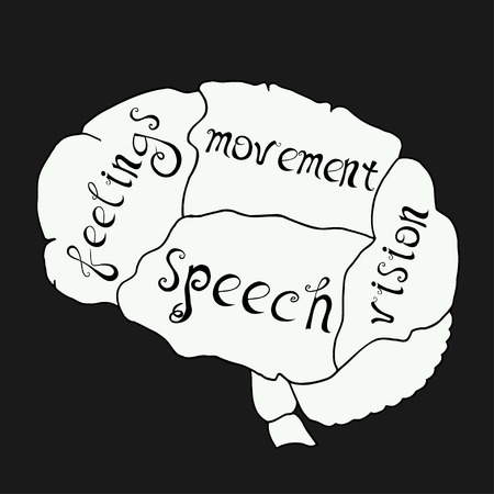 Parts of the human brain are responsible for feelings, speech, movement, hearing,. Vector illustration, handwritten letters.のイラスト素材