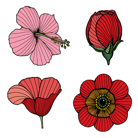 Set of Flowers. Vector color illustration. Isolated on white hand drawn imageのイラスト素材