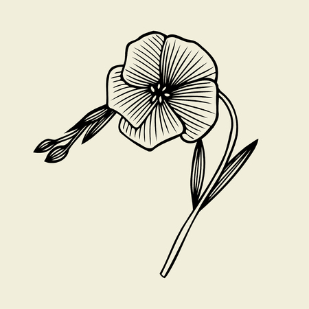 beautiful monochrome flower isolated on beige background. for greeting cards and invitations of the wedding, birthday, Valentine's Day, mother's day and other seasonal holidaysのイラスト素材