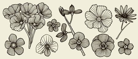 Christmas flower decoration drawings.のイラスト素材