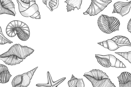 Vintage seafood frame vector illustration. Hand drawn Seashell with ink. Engraved style imageのイラスト素材