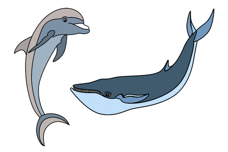 Set marine mammals. Blue whale, sperm whale, dolphin, orca. Isolated on white vector illustrationのイラスト素材