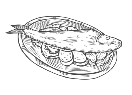 Isolated Detail Vintage Hand Drawing Food Sketch Illustration - Carp Fishのイラスト素材
