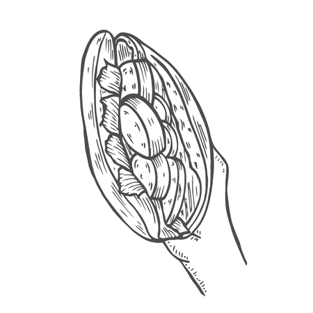 shawarma in hand sketch isolated on white background. Fast food sketch elements vector illustrationのイラスト素材