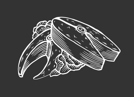 Portion of fried tuna fish with greens. In the style of old engraving, vector illustration isolated on black backgroundのイラスト素材