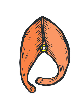 Hand Drawn Doodle Sketch Line Art Vector Illustration of Slice of Fish in Frontal View. Menu Poster Card Decoration Black Outline Design Element Templateのイラスト素材