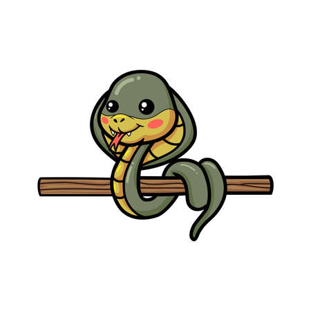 Cute little cobra snake cartoon on tree branchのイラスト素材