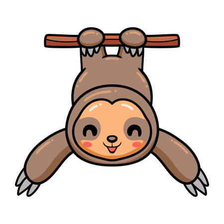 Cute baby sloth cartoon hanging on tree branchのイラスト素材