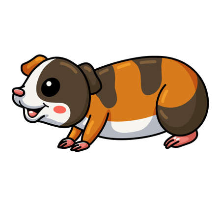 Cute little guinea pig cartoonのイラスト素材