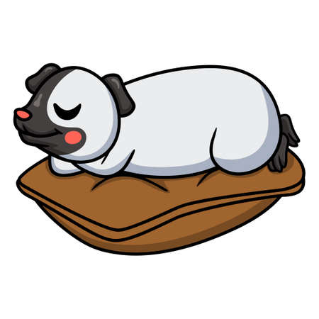 Cute little siamese guinea cartoon sleepingのイラスト素材