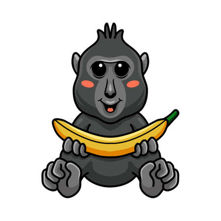 Cute little crested black macaque cartoon holding a bananaのイラスト素材