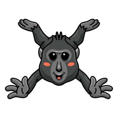 Cute little crested black macaque cartoonのイラスト素材