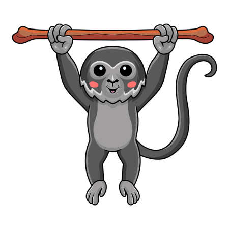 Cute black spider monkey cartoon hanging on tree