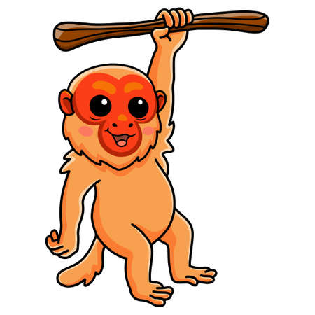Cute bald uakari monkey cartoon hanging on treeのイラスト素材