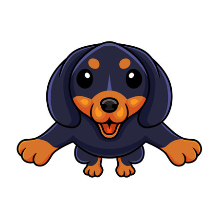 Cute dashund dog cartoon jumpingのイラスト素材