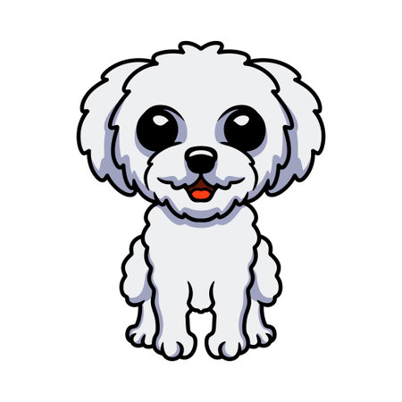 Cute bichon frise cartoon sittingのイラスト素材