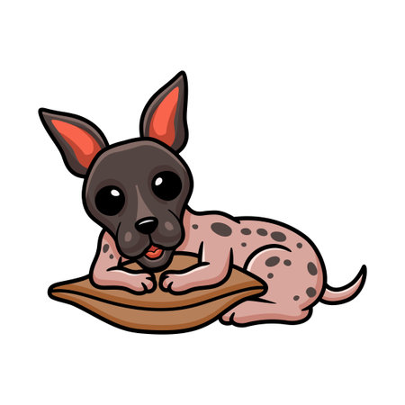 Cute american hairless terrier cartoon on the pillowのイラスト素材