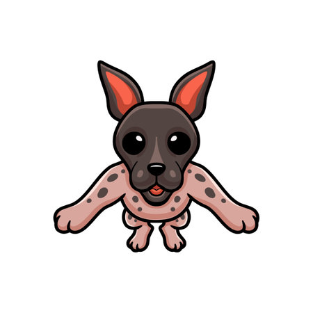 Cute american hairless terrier cartoonのイラスト素材