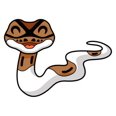 Cute pied ball python cartoonのイラスト素材
