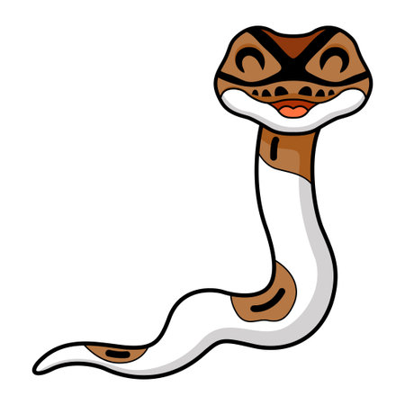 Cute pied ball python cartoonのイラスト素材