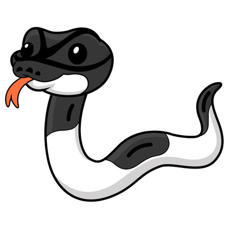 Cute panda pied ball python cartoonのイラスト素材