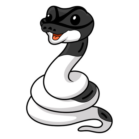 Cute panda pied ball python cartoonのイラスト素材