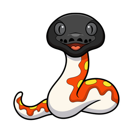 Cute red blood python cartoonのイラスト素材