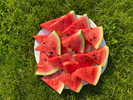 Watermelon plate on the green grass.