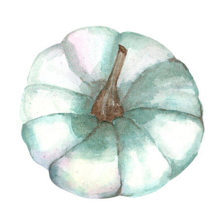 Watercolor illustration of a green pumpkin isolated on a white background.の写真素材