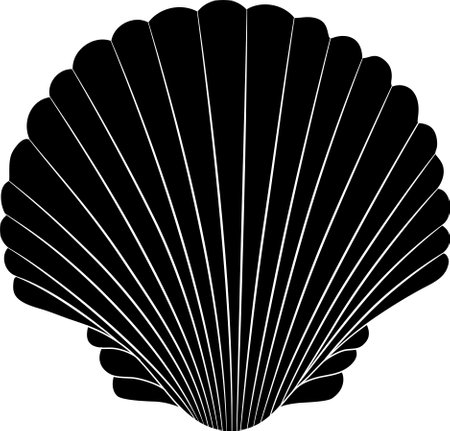 Black and white vector illustration of seashells. abstract background.のイラスト素材