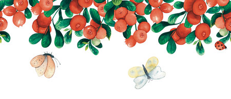 Seamless watercolour cranberry border with berries, leaves, butterflies and ladybug hand drawn isolated on whiteの写真素材