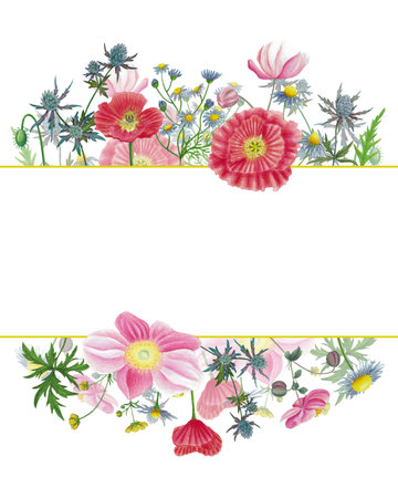 Wild flowers frame, invitation, greeting card with red poppy, camomile, cornflower, anemone, ranunculus, eryngium flower hand drawn isolated on whiteの写真素材